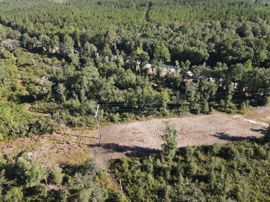 Undisclosed Address Samson, AL 36477 - Photo 27 of 39