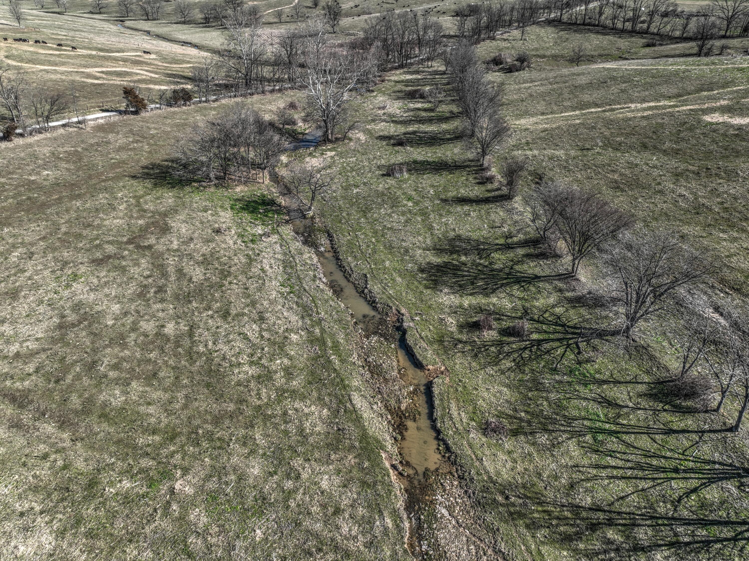 9999 Colville Road Paris, KY 40361 - Photo 34 of 38 DJI_0281_2_3 Colville Rd Farm