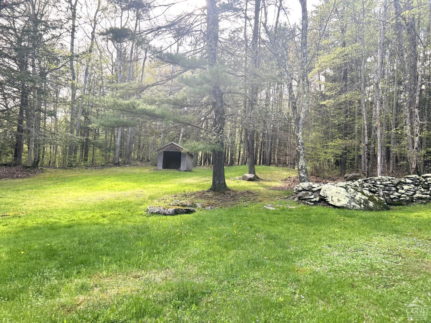 169 Rt 4 Prattsville, NY 12468 - Photo 25 of 35 a view of a park with large trees