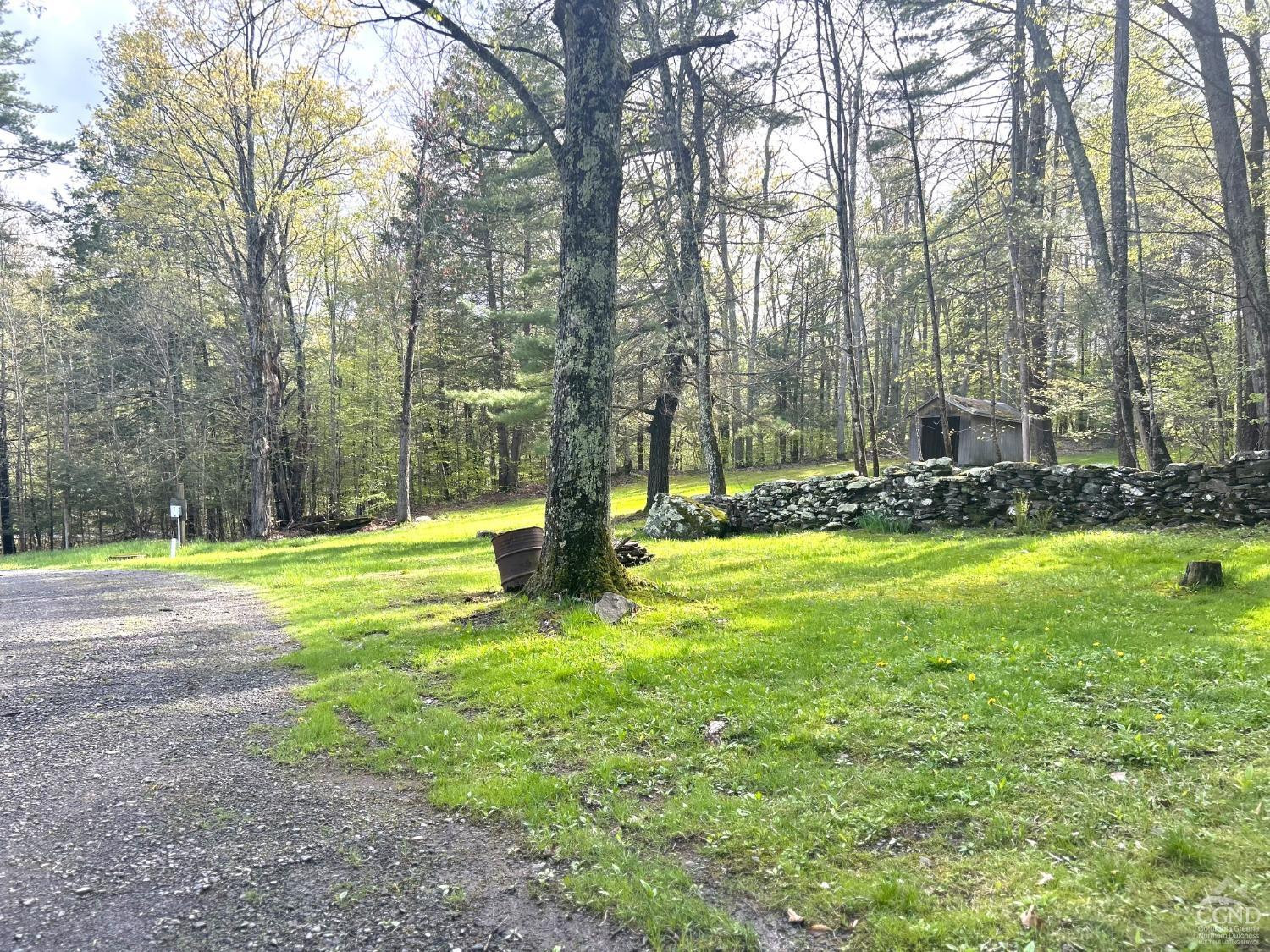 169 Rt 4 Prattsville, NY 12468 - Photo 26 of 35