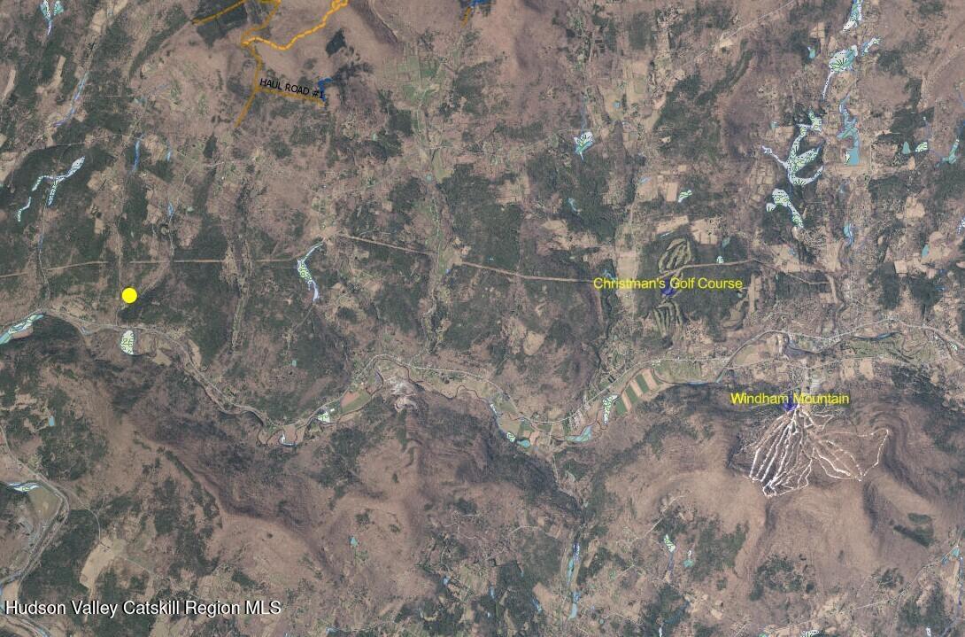 169 Rt 4 Prattsville, NY 12468 - Photo 34 of 35 a backyard of a house with lots of green space and trees