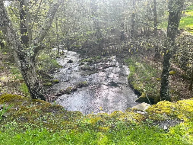 a view of a yard with a tree