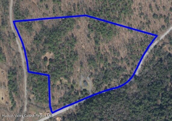 169 Rt 4 Prattsville, NY 12468 - Photo 6 of 35