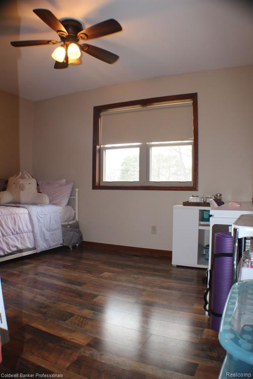 3993 East Burnside Road North Branch, MI 48461 - Photo 9 of 35