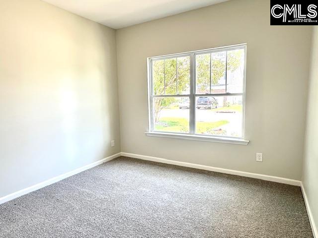 318 Carson Court Lexington, SC 29073 - Photo 15 of 15