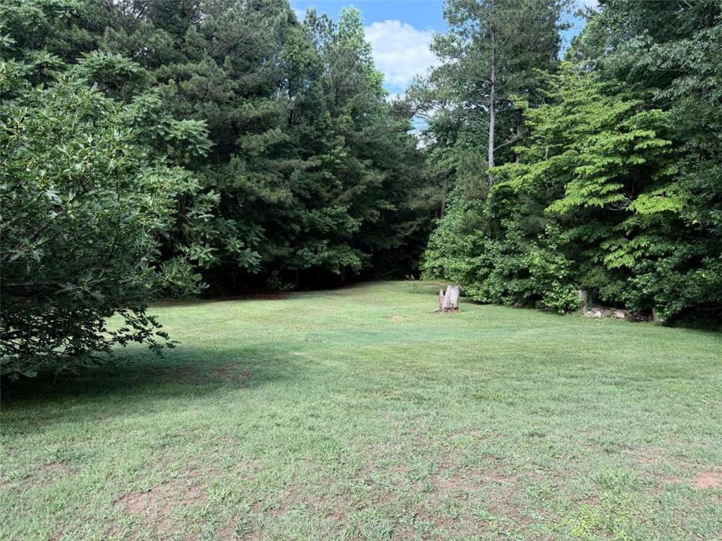 1972 Mt Zion Road Oxford, GA 30054 - Photo 5 of 15 a ground with trees in the background