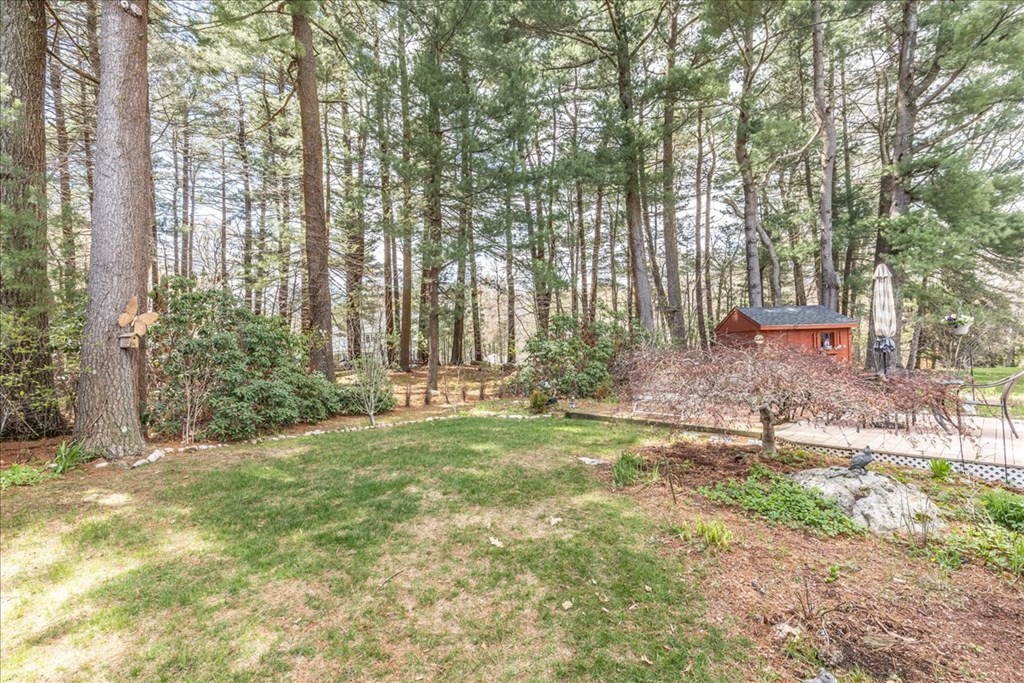 62 Chickering Road Dedham, MA 02026 - Photo 36 of 41 Gallery Image 36