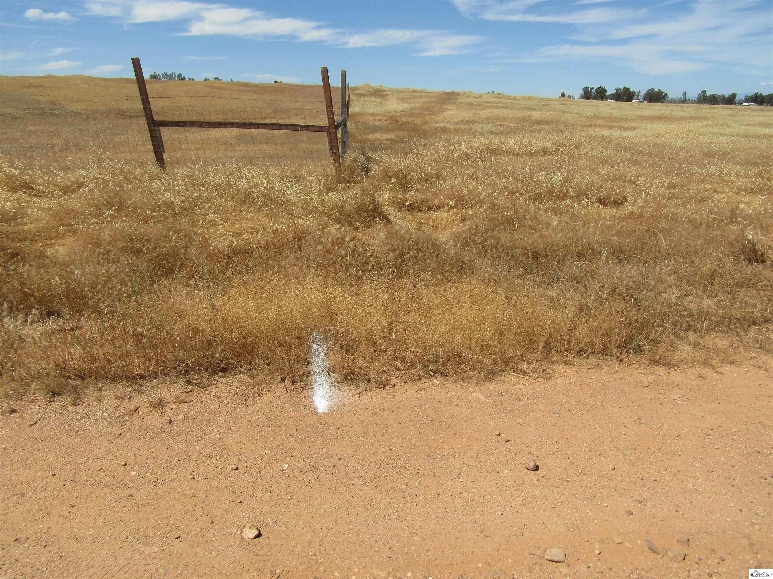 3 Canal View Road Corning, CA 96021 - Photo 10 of 13
