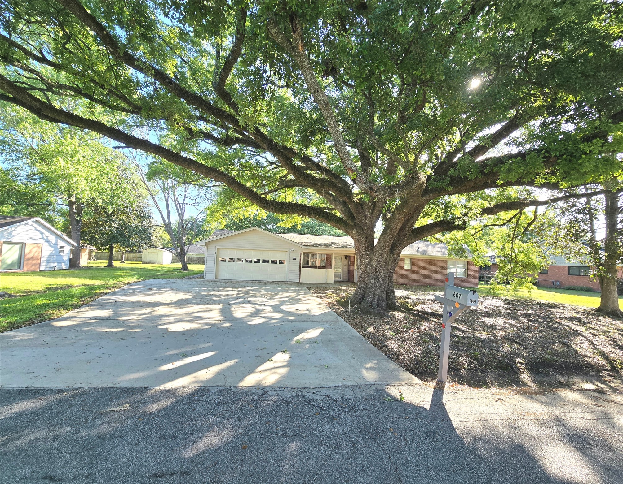 607 South Main Street Dayton, TX 77535 - Photo 38 of 39 a view of a yard with plants and trees