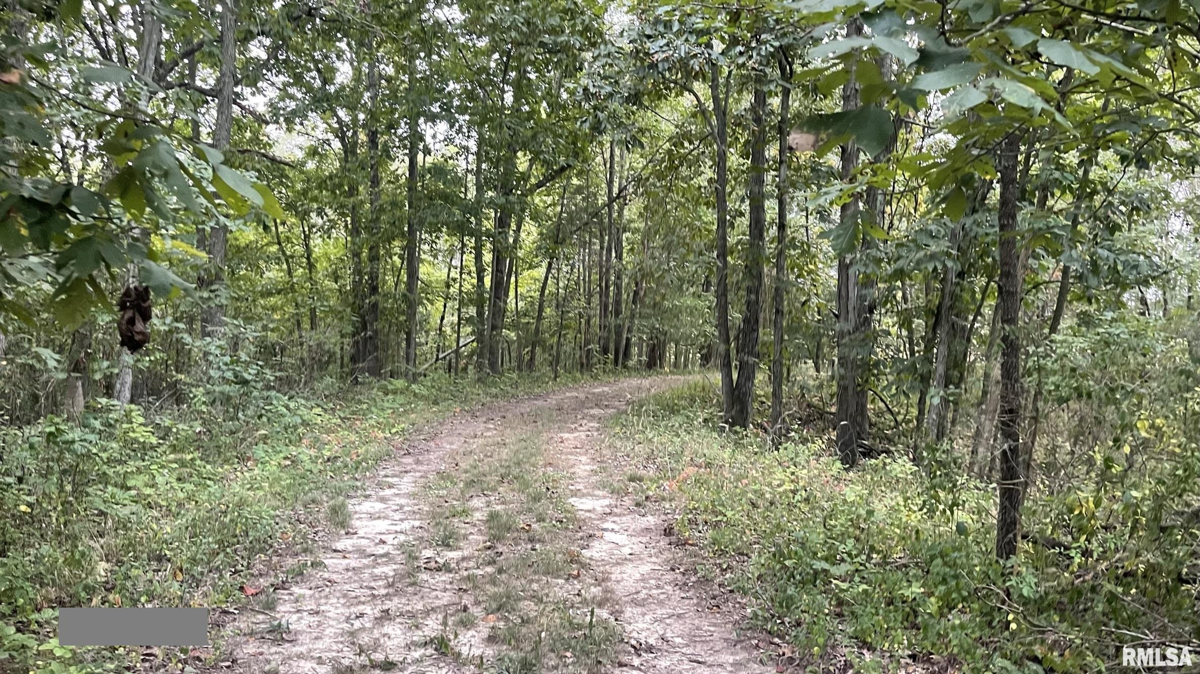 885 Casper Church Road Cobden, IL 62920 - Photo 18 of 100 Gallery Image 18