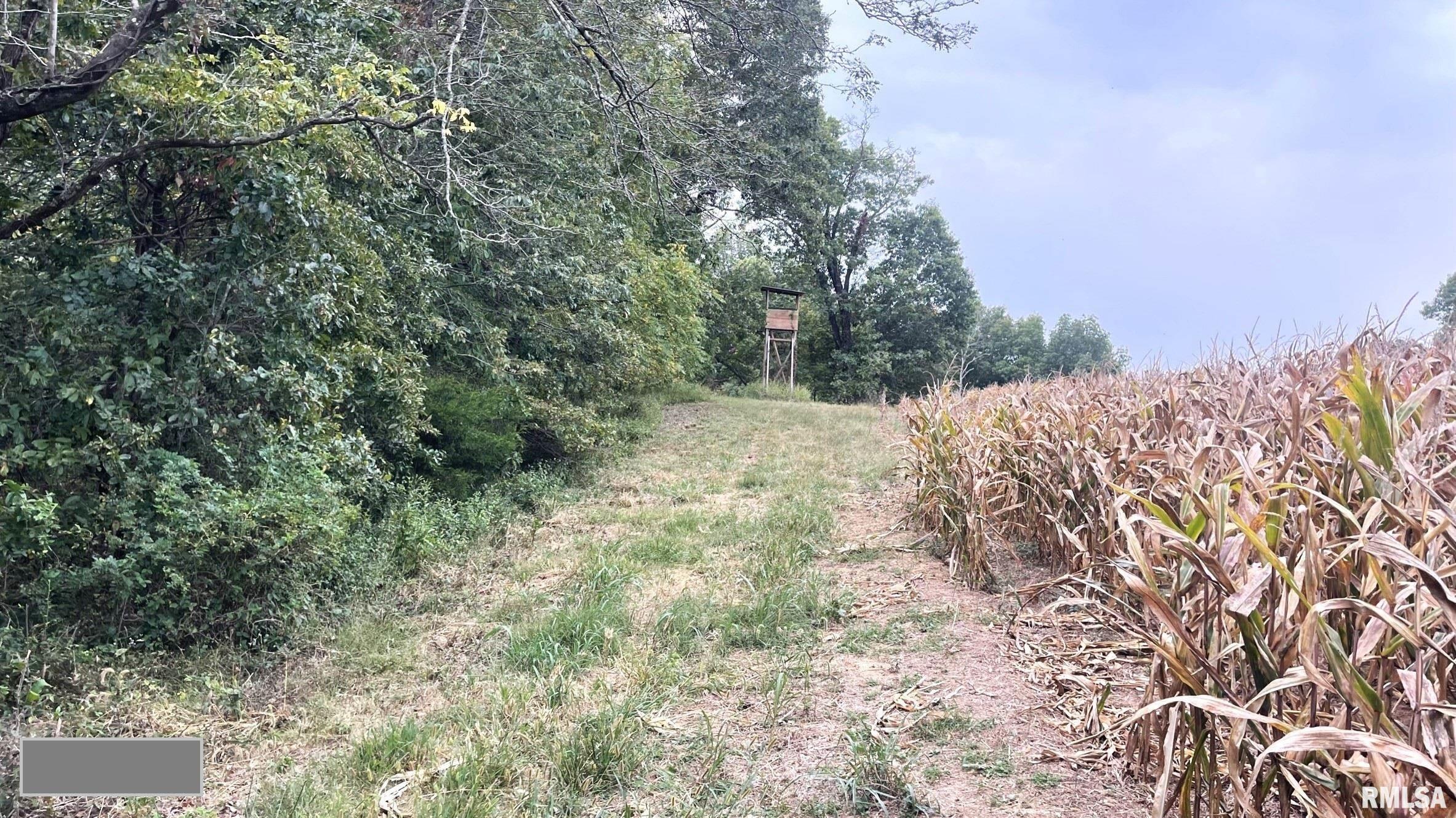 885 Casper Church Road Cobden, IL 62920 - Photo 20 of 100 Gallery Image 20