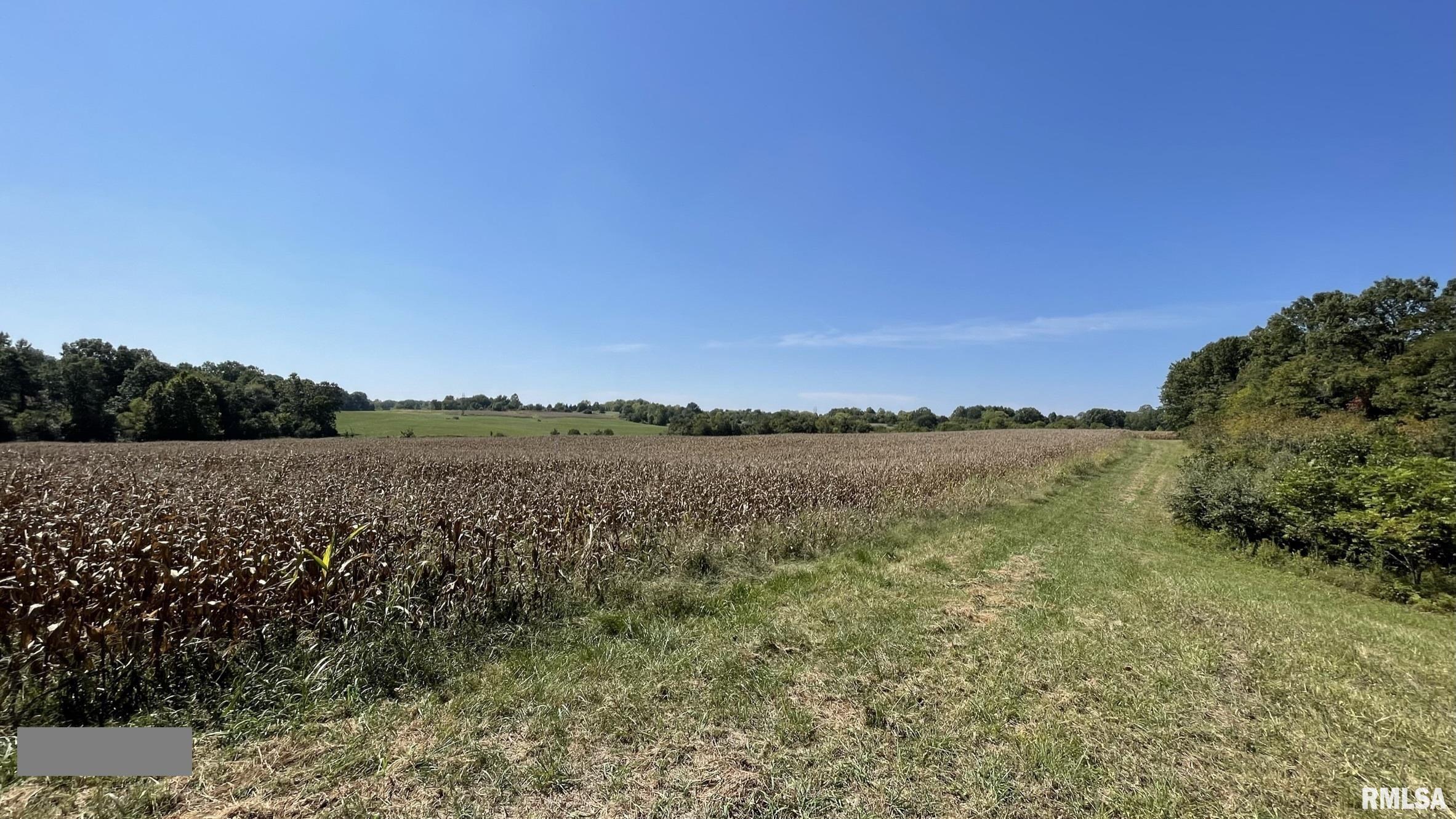 885 Casper Church Road Cobden, IL 62920 - Photo 25 of 100 Gallery Image 25