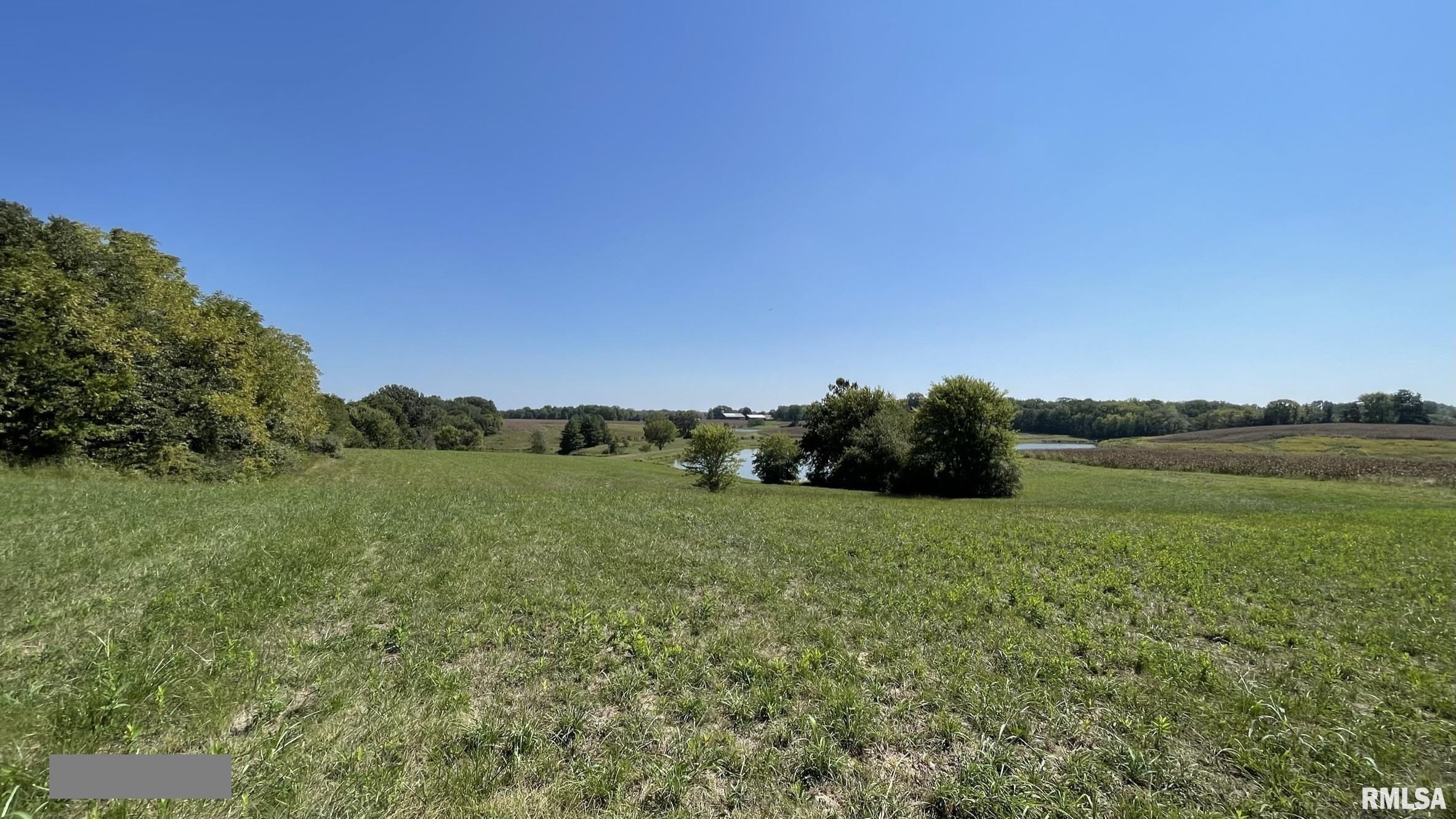 885 Casper Church Road Cobden, IL 62920 - Photo 31 of 100 Gallery Image 31