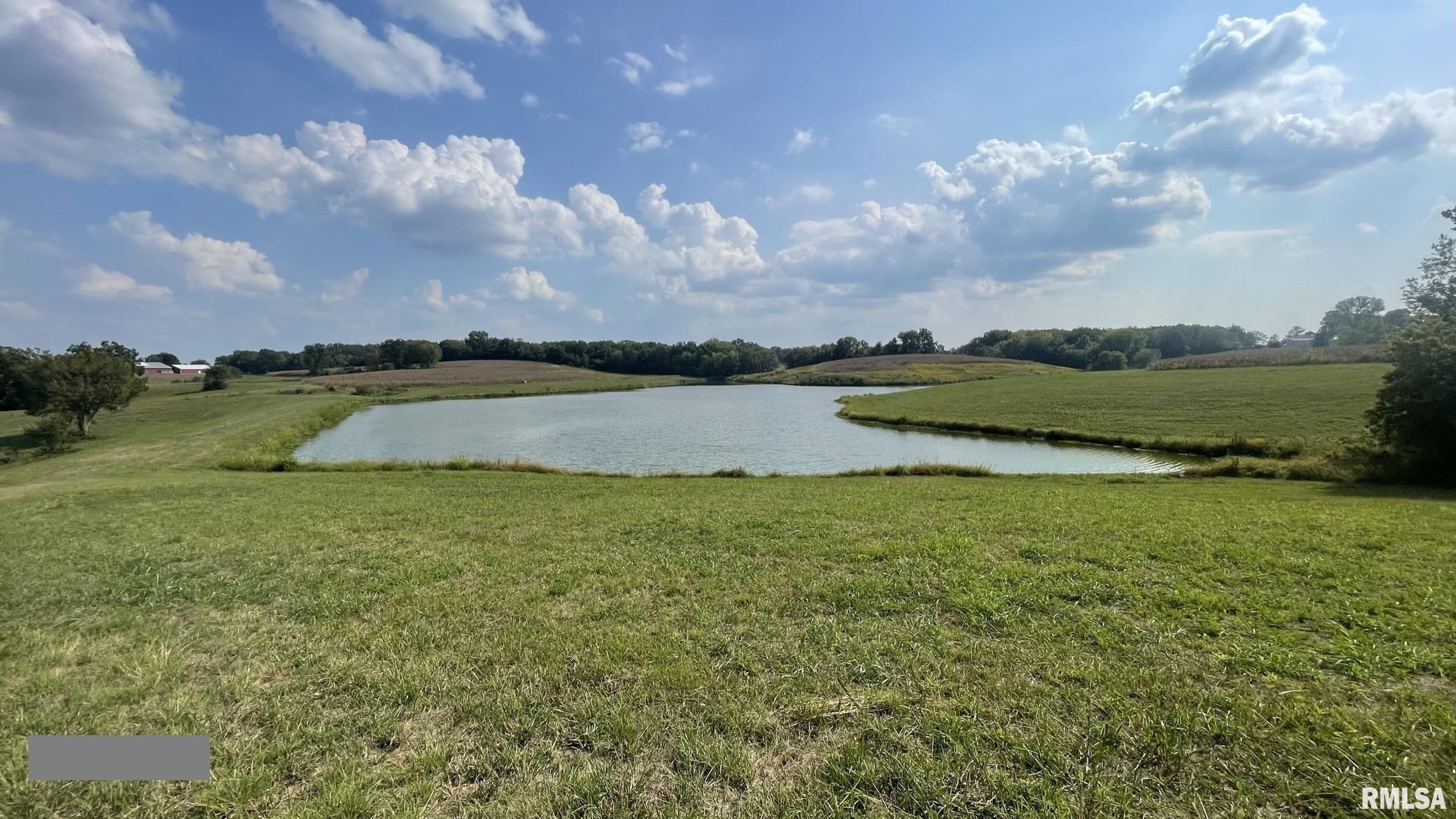 885 Casper Church Road Cobden, IL 62920 - Photo 33 of 100 Gallery Image 33