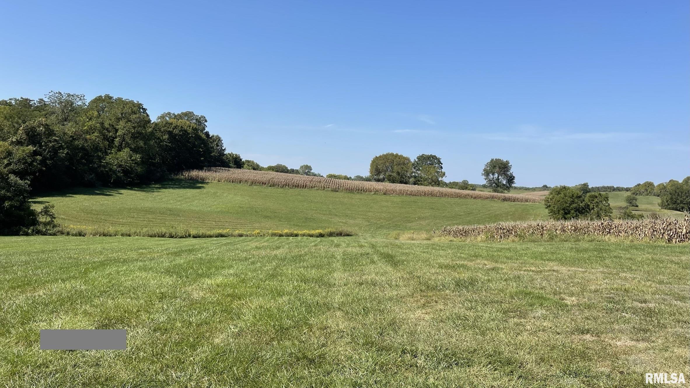 885 Casper Church Road Cobden, IL 62920 - Photo 50 of 100 Gallery Image 50