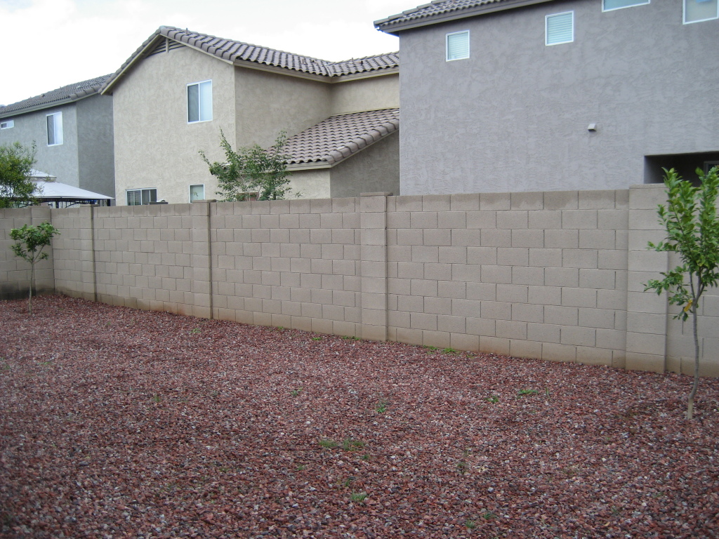 10113 West Cordes Road Tolleson, AZ 85353 - Photo 17 of 17 Backyard w/ lemon and orange tree