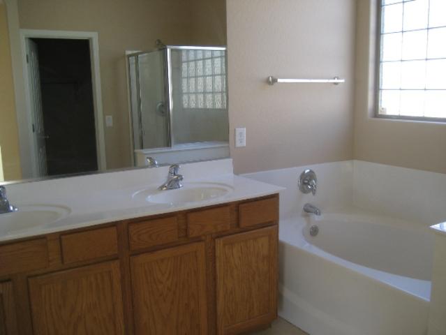 10113 West Cordes Road Tolleson, AZ 85353 - Photo 5 of 17 Master Tub