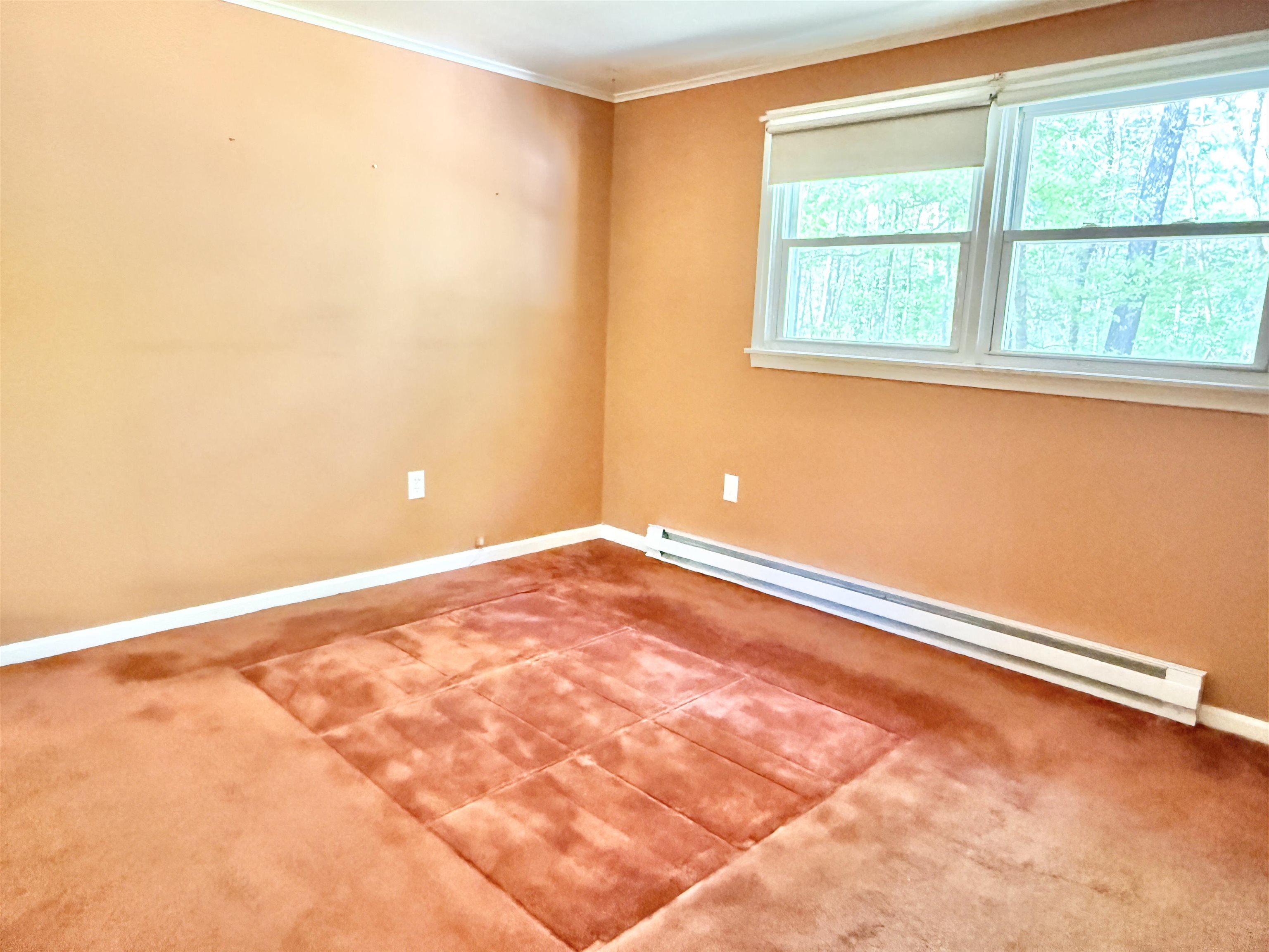 4 Rita Avenue Pelham, NH 03076 - Photo 34 of 54
