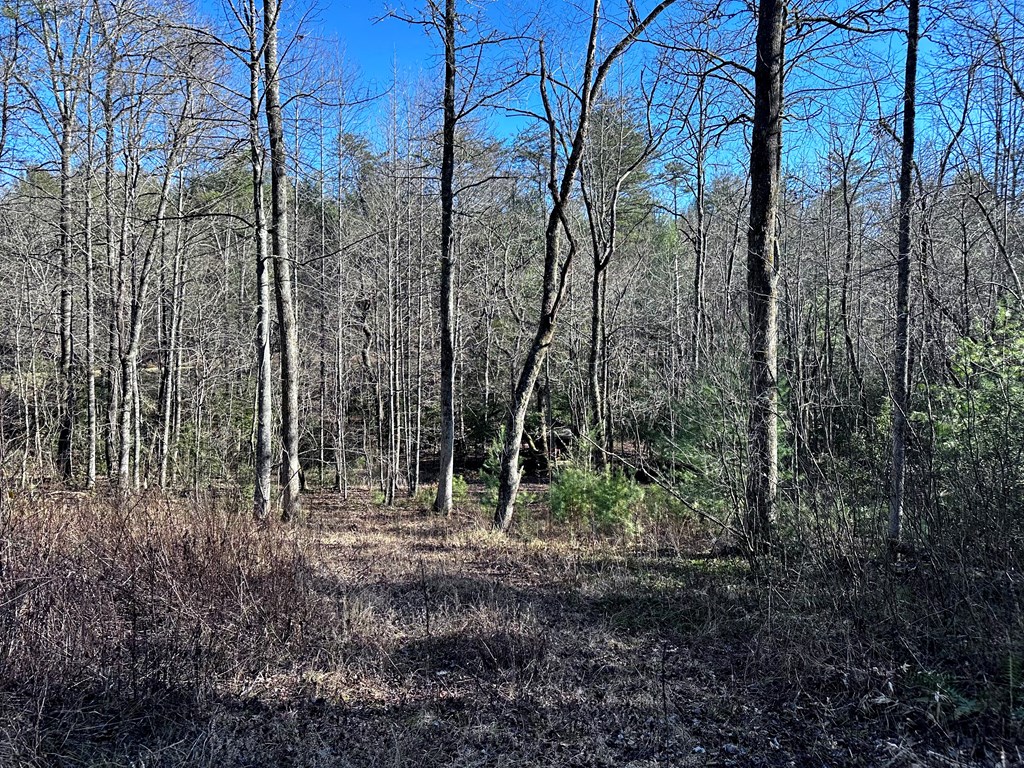 6-7 Idle Lane Blue Ridge, GA 30513 - Photo 12 of 27 View of Property