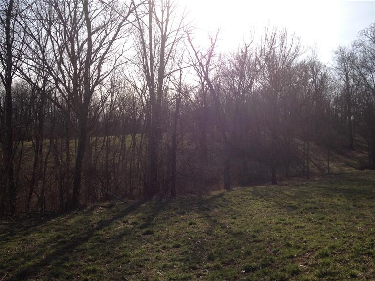 5025 Oliver Road Independence, KY 41051 - Photo 3 of 12 Gallery Image 3