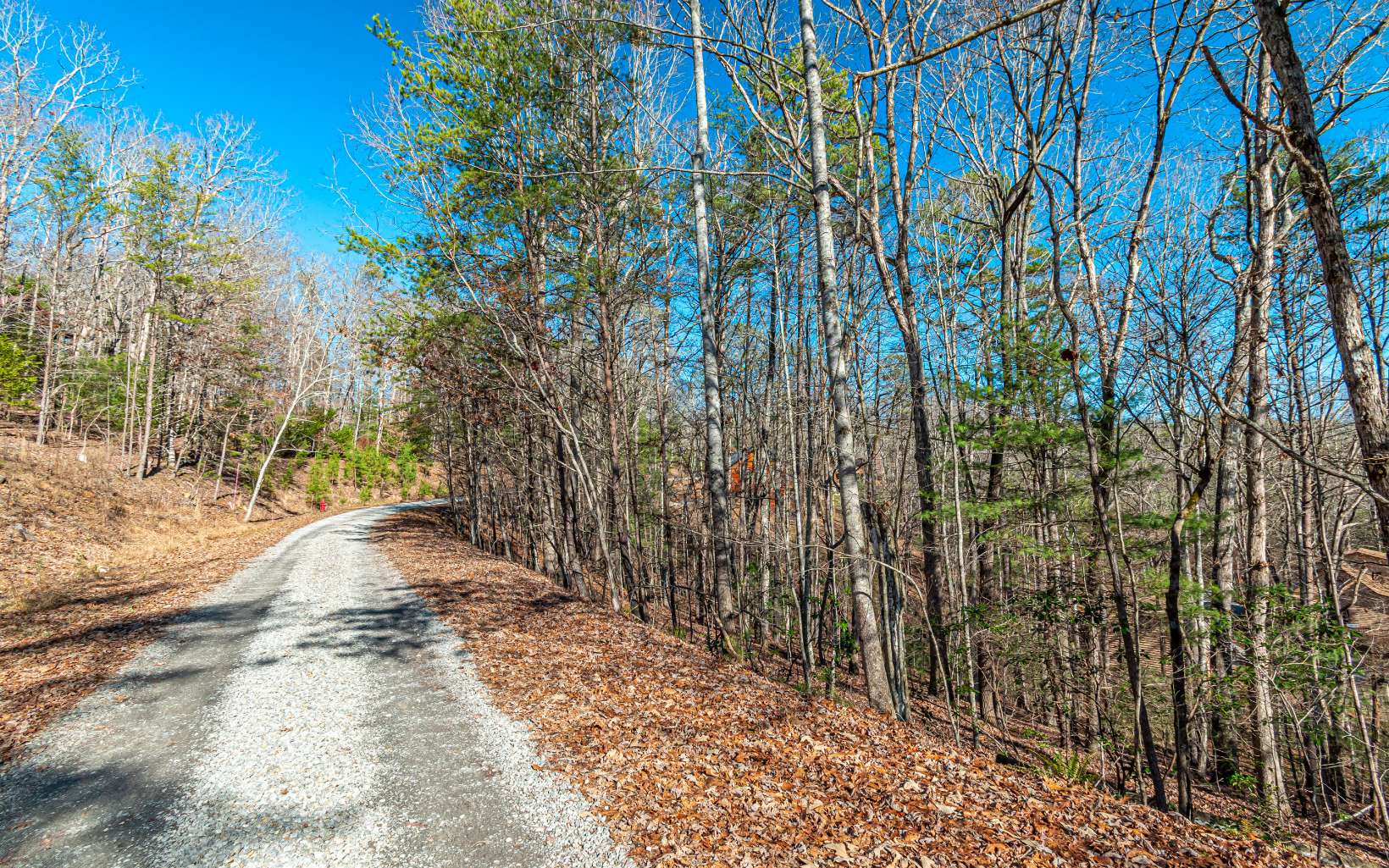 1.23 A Echo Road Morganton, GA 30560 - Photo 1 of 49 Main View