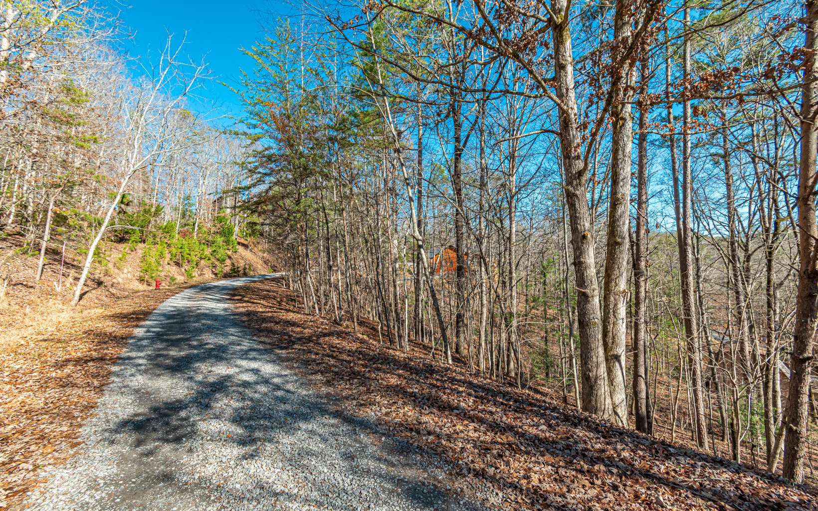 1.23 A Echo Road Morganton, GA 30560 - Photo 11 of 49 Additional View