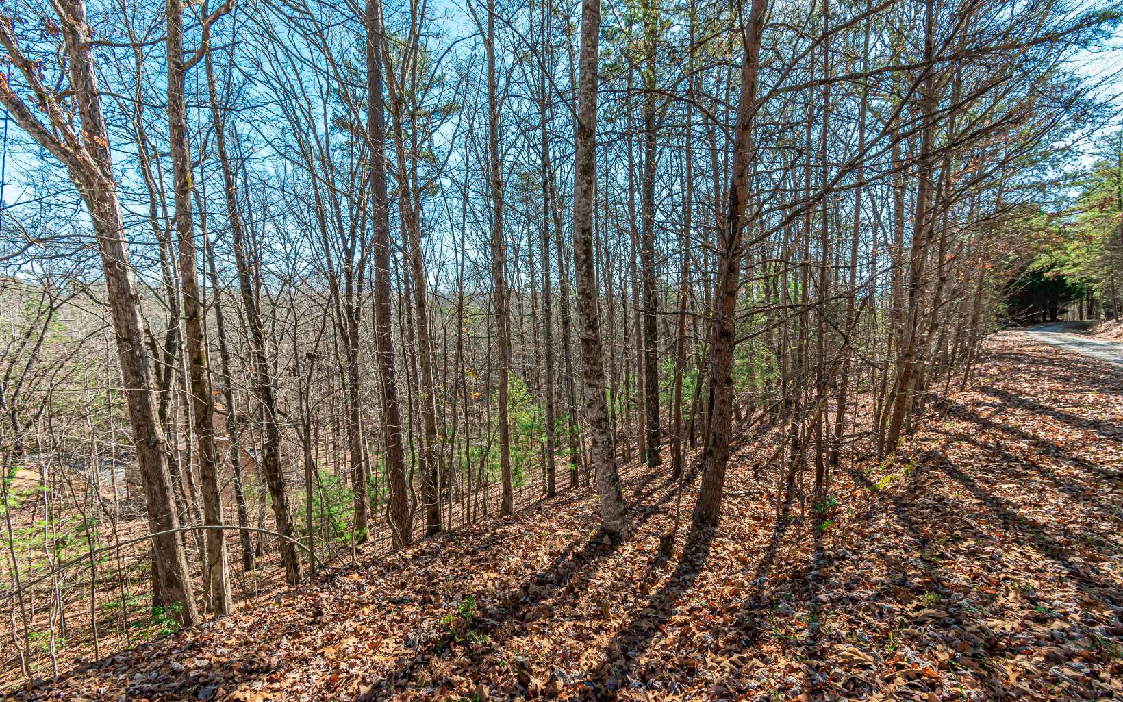 1.23 A Echo Road Morganton, GA 30560 - Photo 12 of 49 Additional View