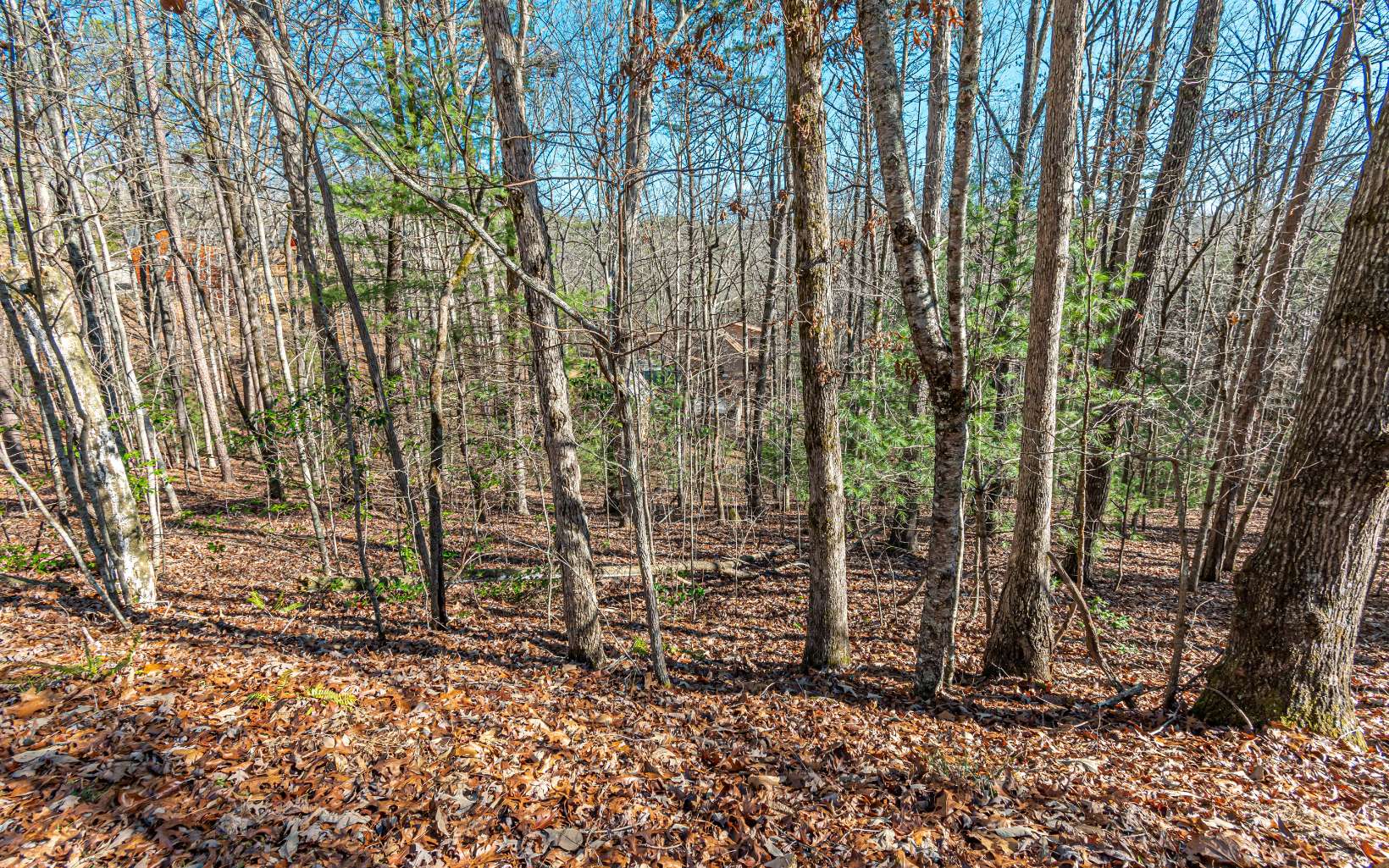 1.23 A Echo Road Morganton, GA 30560 - Photo 14 of 49 Additional View