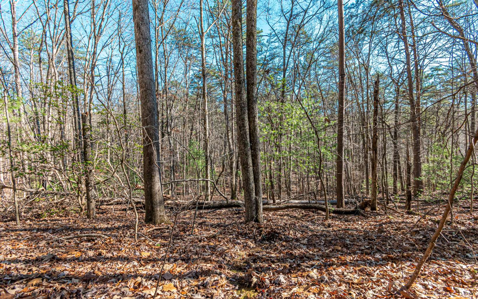 1.23 A Echo Road Morganton, GA 30560 - Photo 15 of 49 Additional View