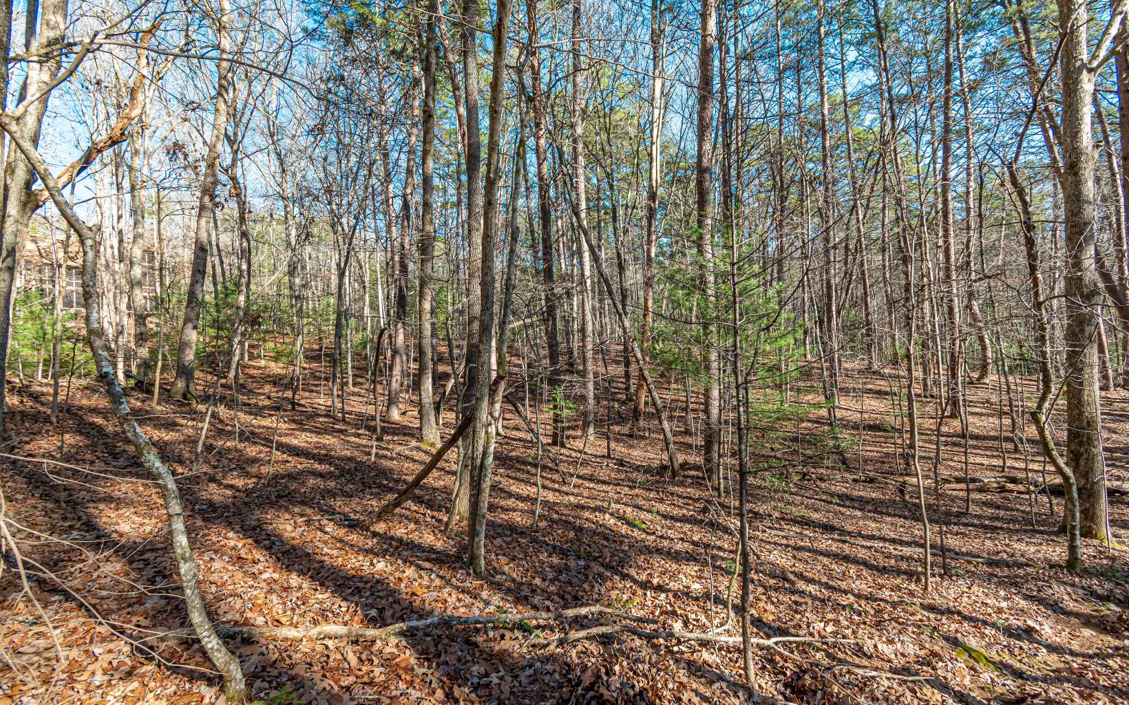 1.23 A Echo Road Morganton, GA 30560 - Photo 16 of 49 Additional View