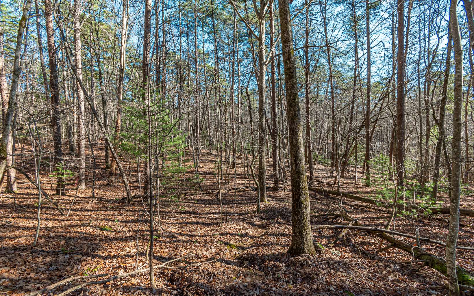 1.23 A Echo Road Morganton, GA 30560 - Photo 17 of 49 Additional View