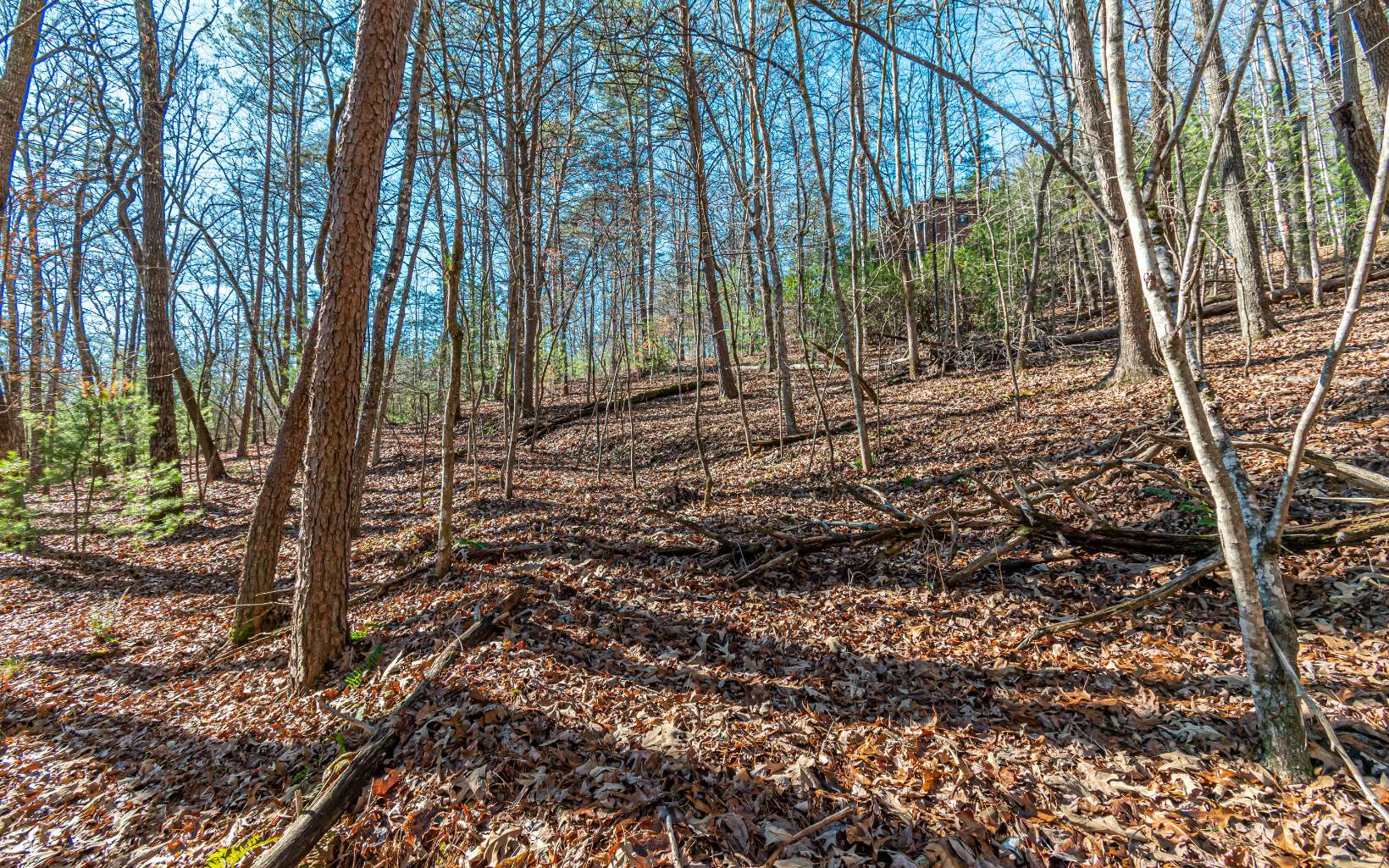 1.23 A Echo Road Morganton, GA 30560 - Photo 18 of 49 Additional View