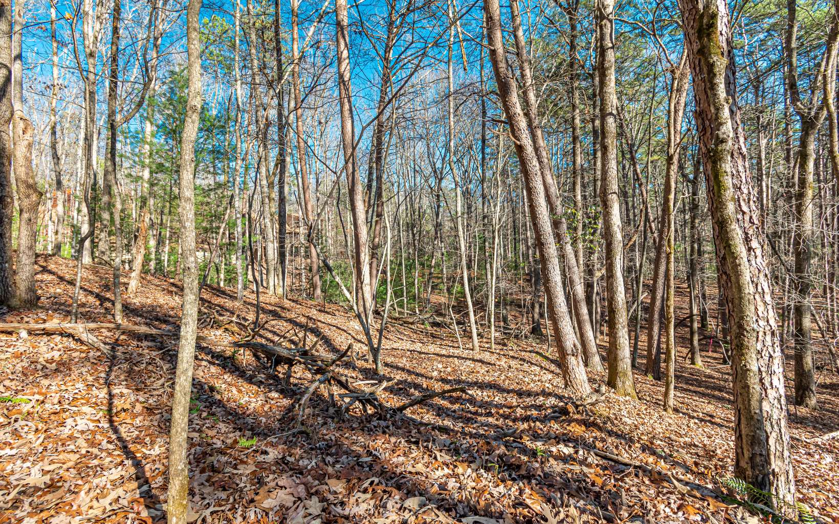 1.23 A Echo Road Morganton, GA 30560 - Photo 20 of 49 Additional View