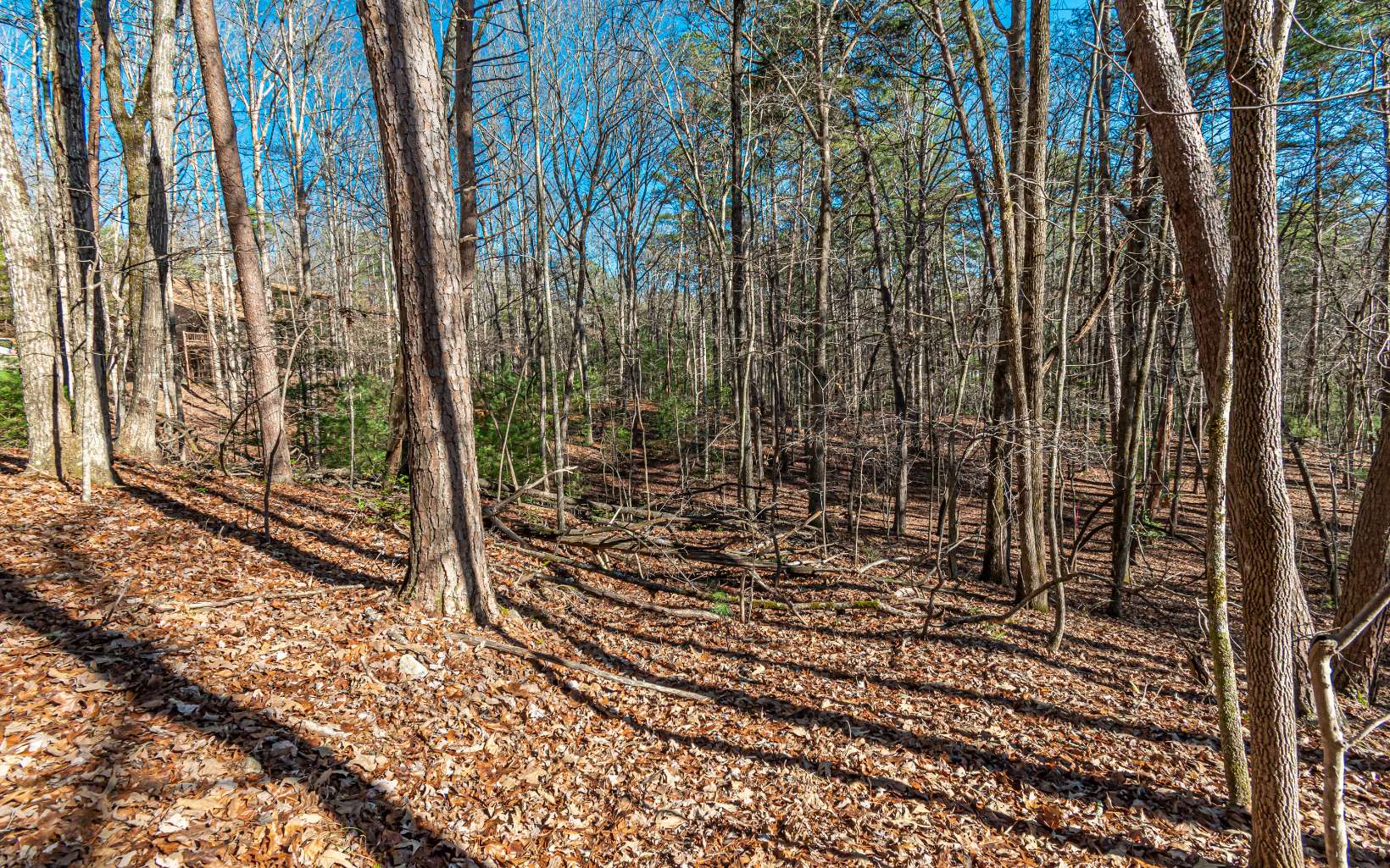 1.23 A Echo Road Morganton, GA 30560 - Photo 21 of 49 Additional View