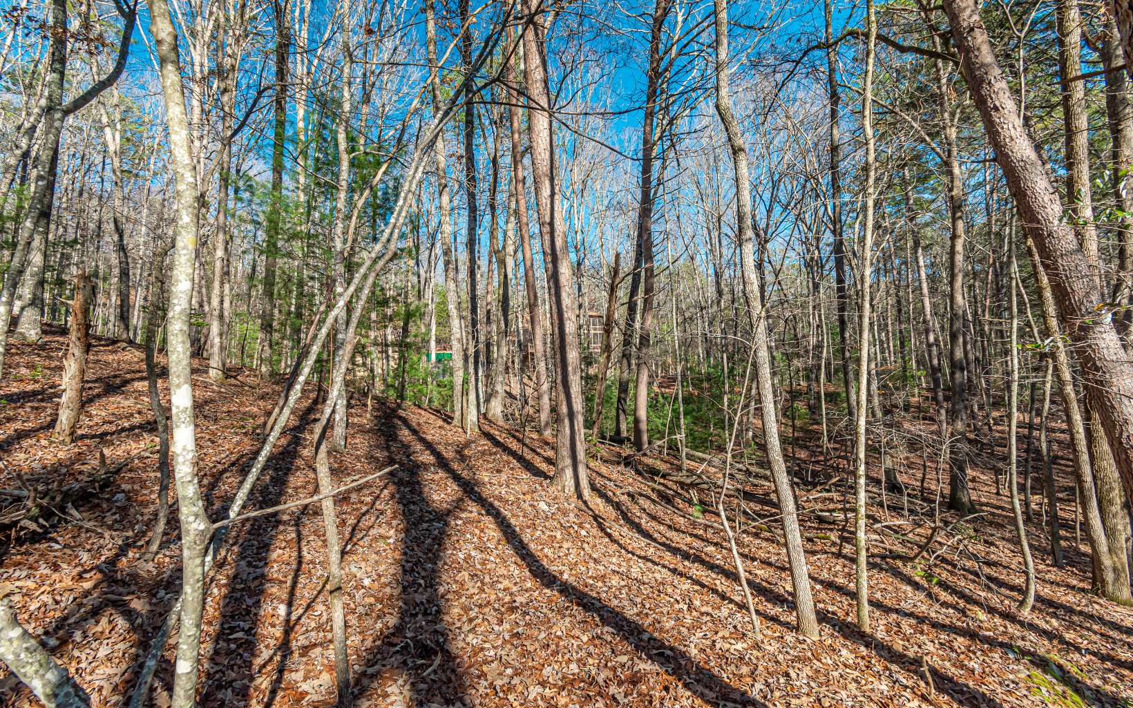 1.23 A Echo Road Morganton, GA 30560 - Photo 22 of 49 Additional View