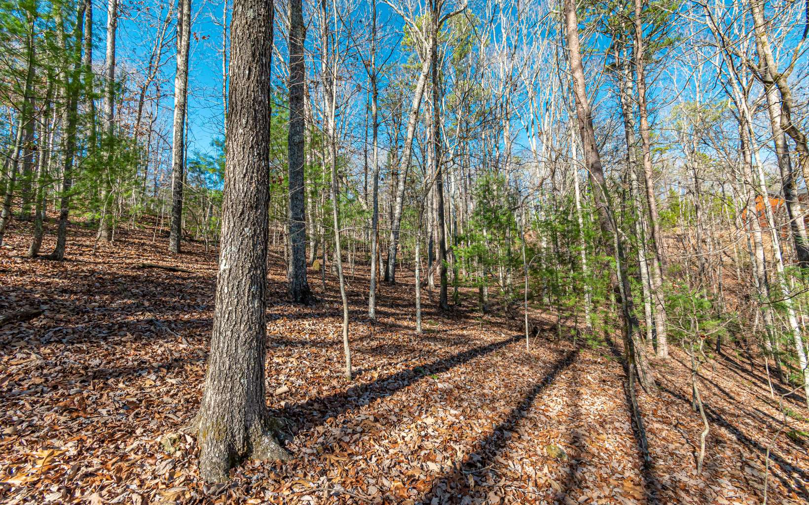 1.23 A Echo Road Morganton, GA 30560 - Photo 23 of 49 Additional View