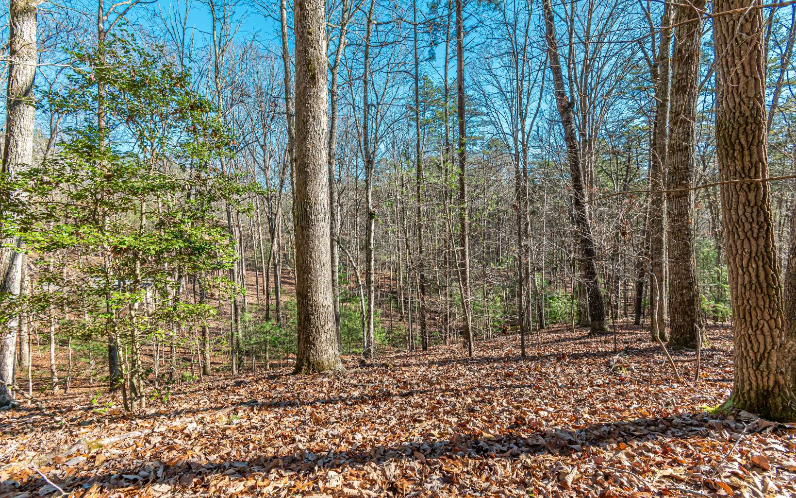 1.23 A Echo Road Morganton, GA 30560 - Photo 24 of 49 Additional View