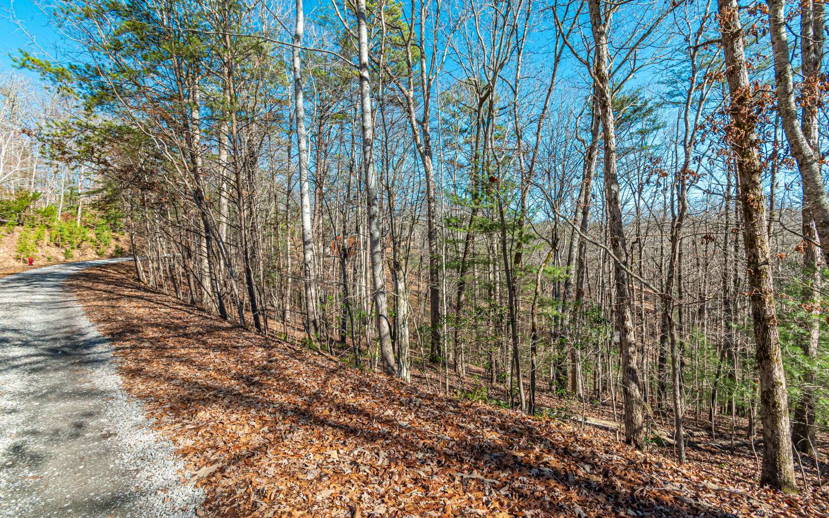 1.23 A Echo Road Morganton, GA 30560 - Photo 25 of 49 Additional View