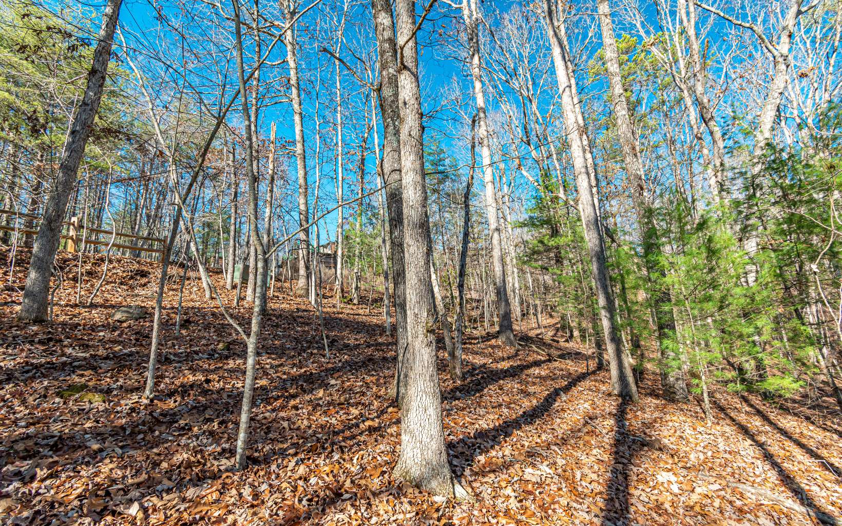 1.23 A Echo Road Morganton, GA 30560 - Photo 27 of 49 Additional View