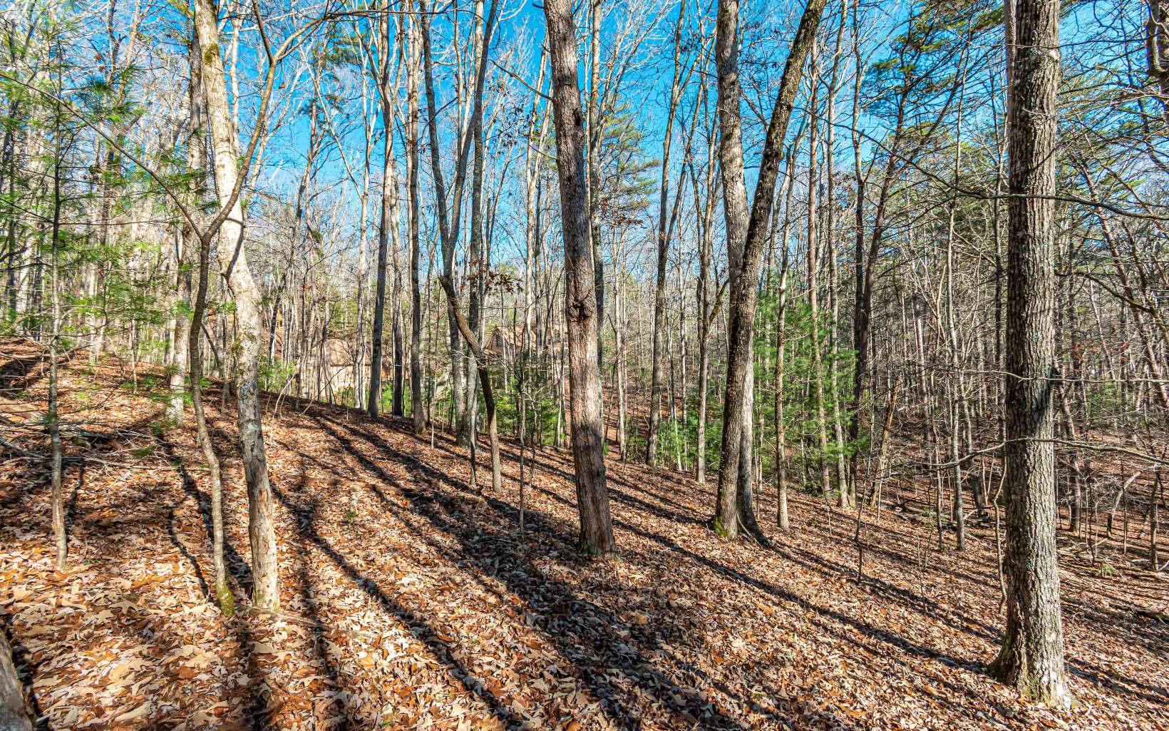 1.23 A Echo Road Morganton, GA 30560 - Photo 28 of 49 Additional View