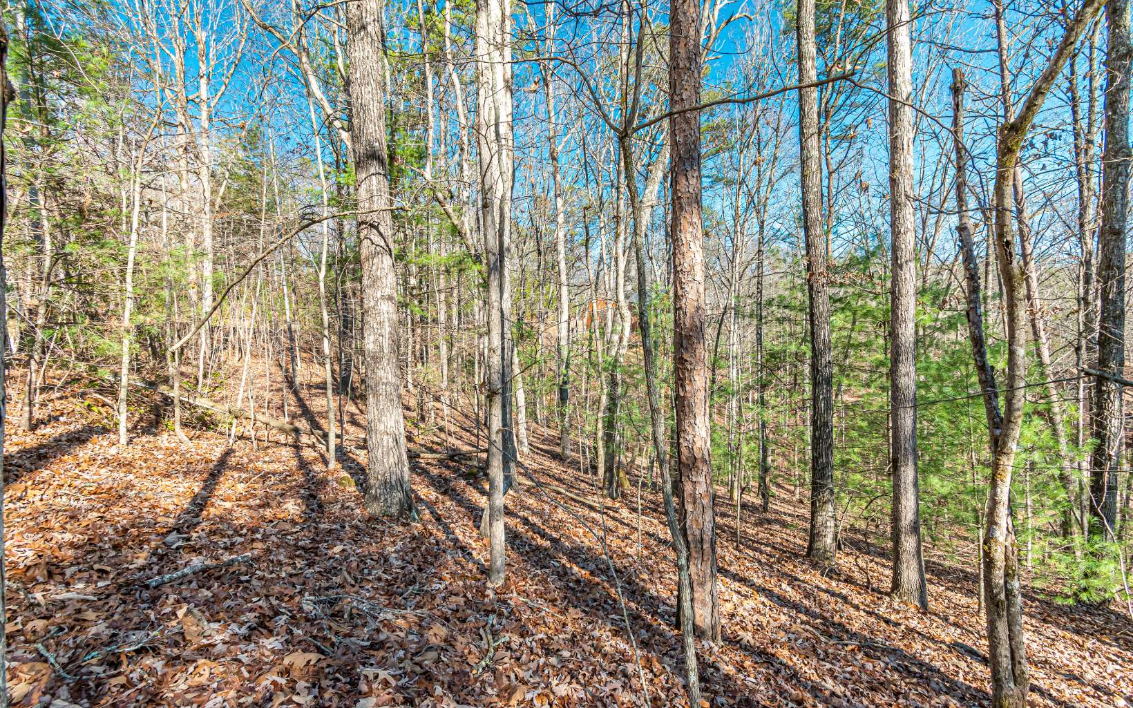 1.23 A Echo Road Morganton, GA 30560 - Photo 29 of 49 Additional View