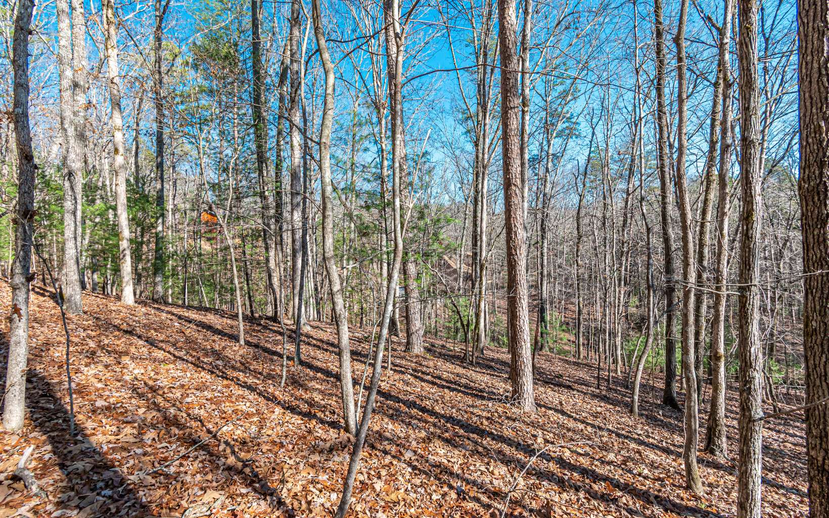 1.23 A Echo Road Morganton, GA 30560 - Photo 31 of 49 Additional View