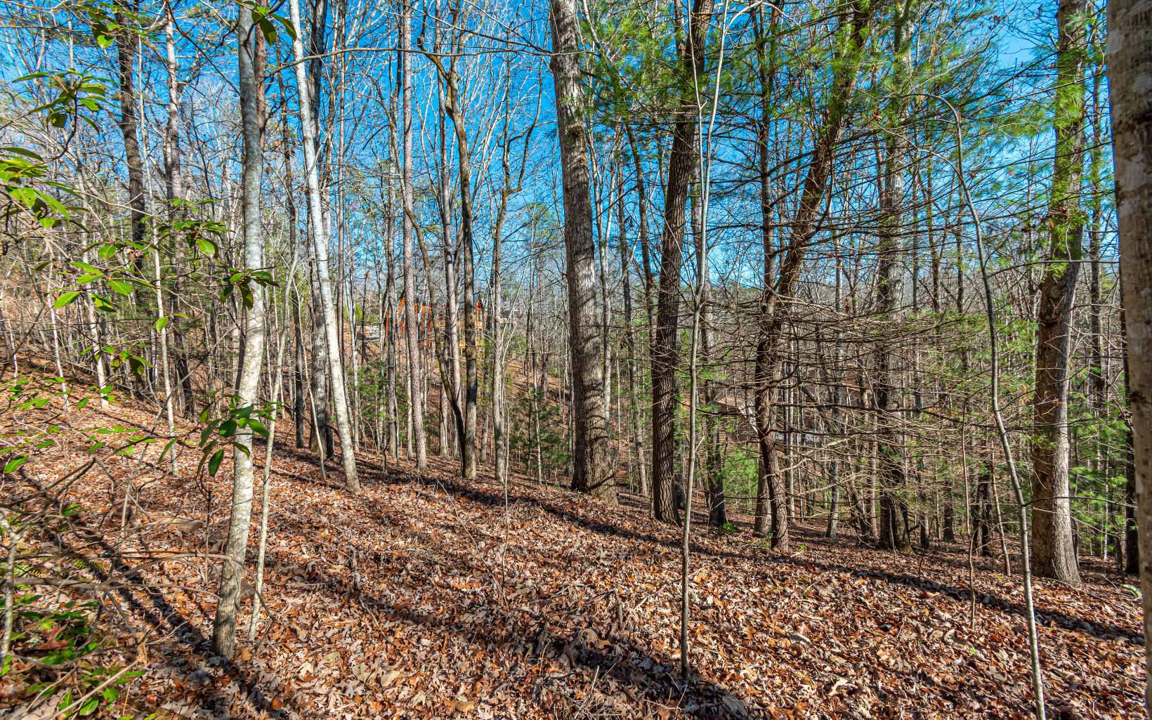 1.23 A Echo Road Morganton, GA 30560 - Photo 32 of 49 Additional View