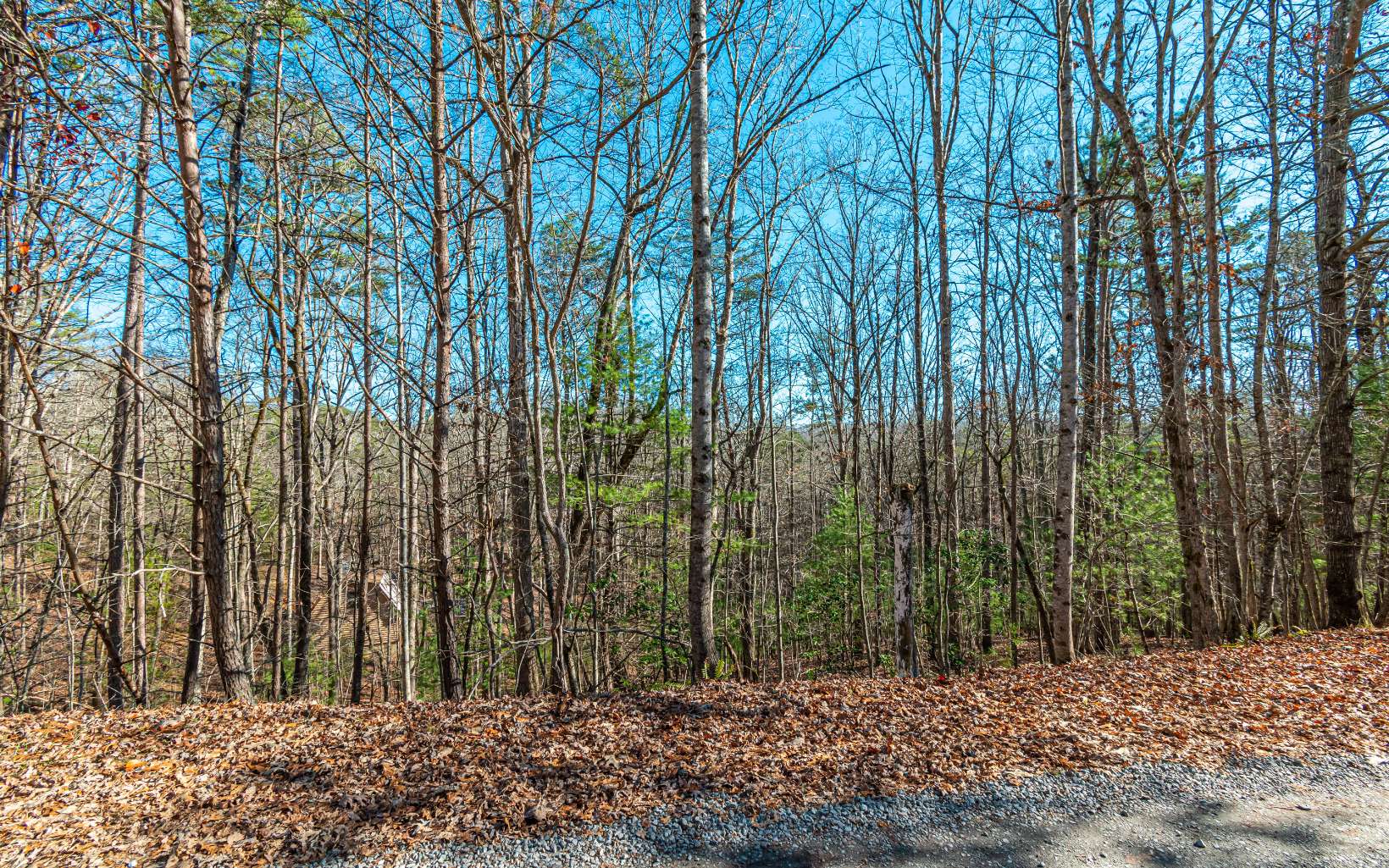 1.23 A Echo Road Morganton, GA 30560 - Photo 35 of 49 Additional View