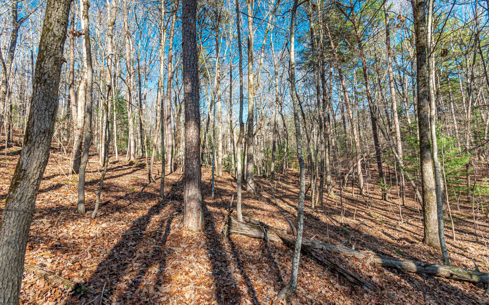 1.23 A Echo Road Morganton, GA 30560 - Photo 36 of 49 Additional View