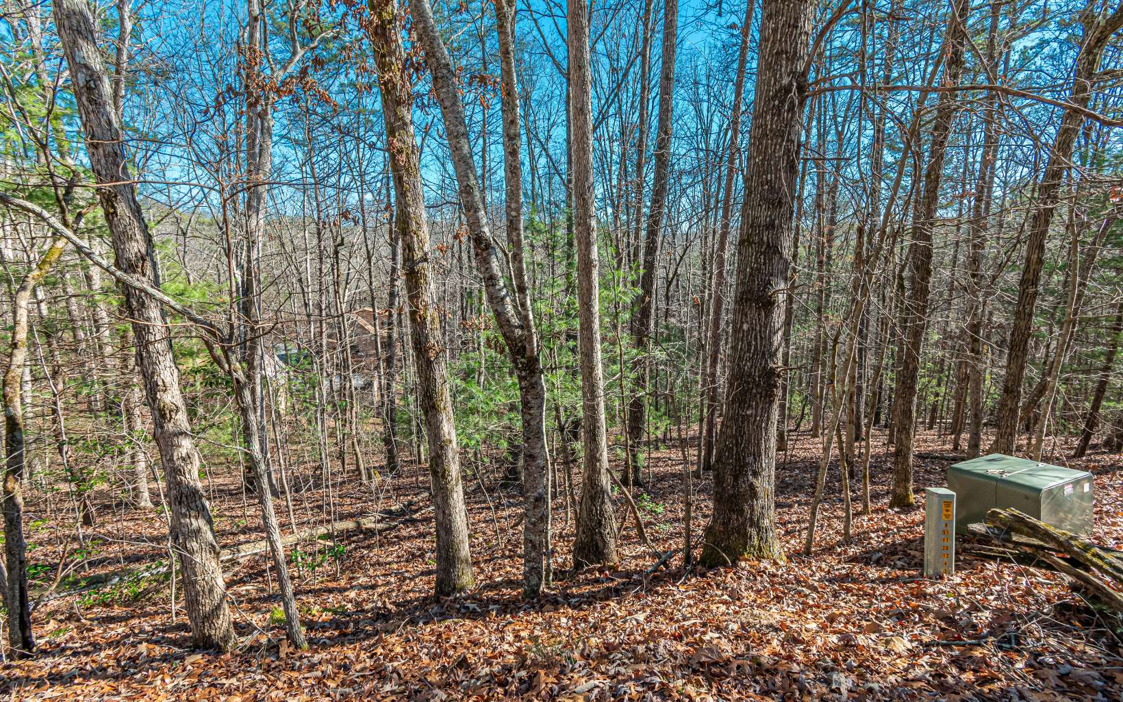 1.23 A Echo Road Morganton, GA 30560 - Photo 37 of 49 Additional View