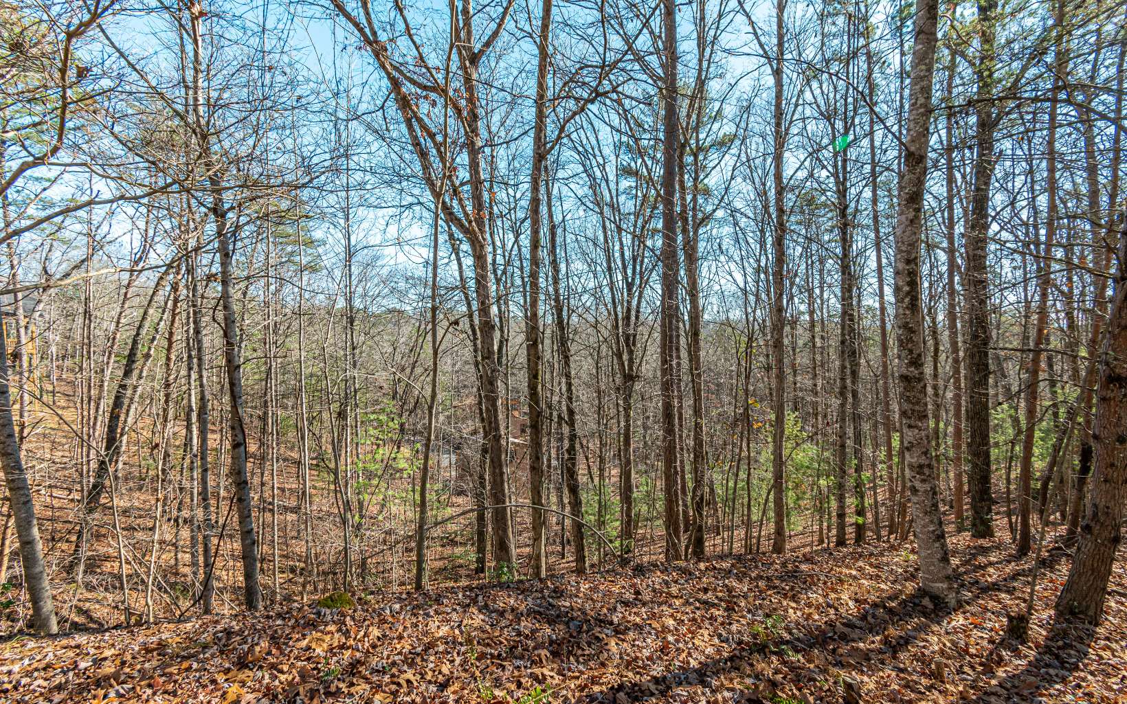 1.23 A Echo Road Morganton, GA 30560 - Photo 38 of 49 Additional View