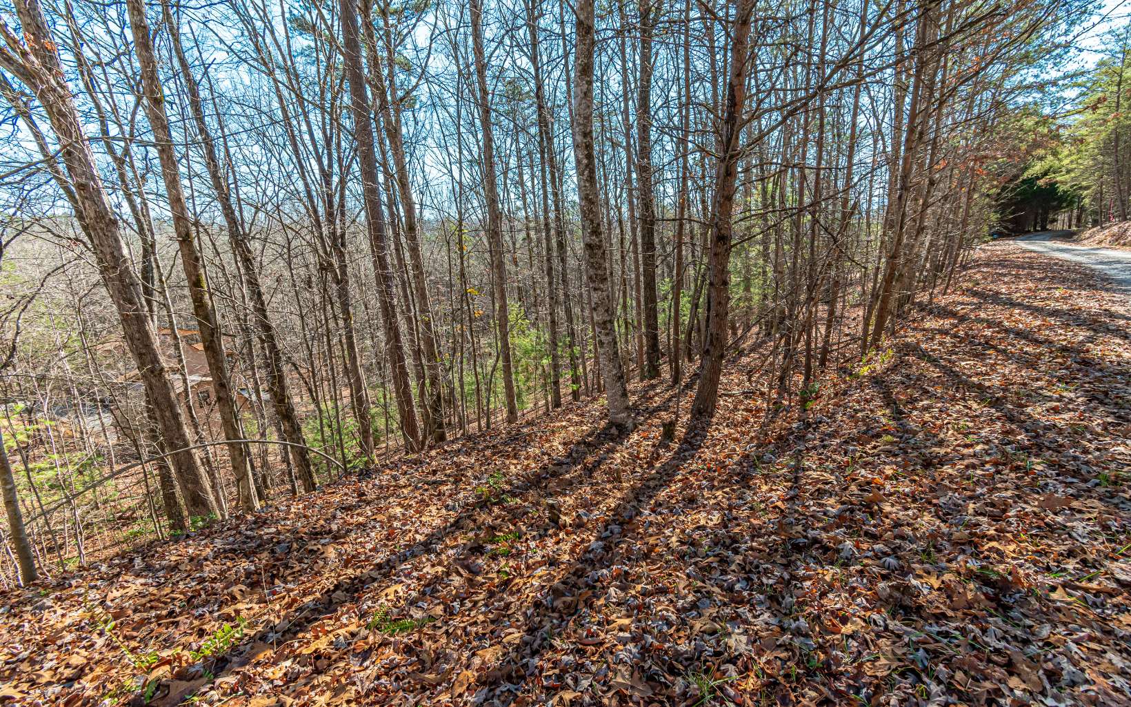 1.23 A Echo Road Morganton, GA 30560 - Photo 39 of 49 Additional View