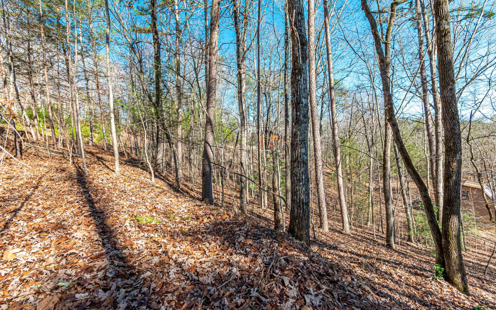 1.23 A Echo Road Morganton, GA 30560 - Photo 41 of 49 Additional View