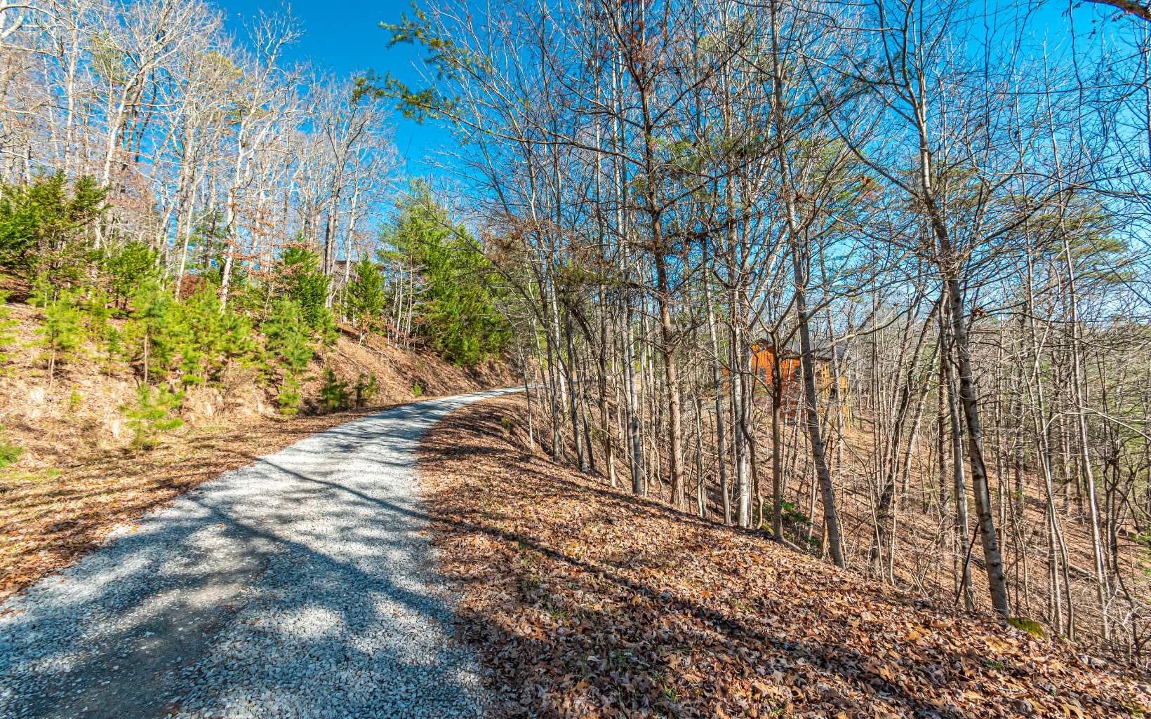 1.23 A Echo Road Morganton, GA 30560 - Photo 42 of 49 Additional View